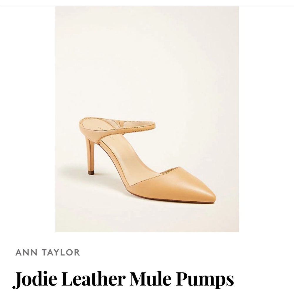 Ann Taylor Jodie Leather Mule Pumps